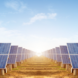 Community Solar Panels in the Field
